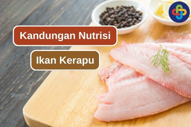 7 Jenis Nutrisi Yang Ada Dalam Ikan Kerapu